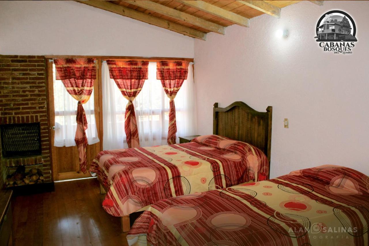 הואסקה דה אוקמפו Cabanas Los Bosques Del Zembo מראה חיצוני תמונה
