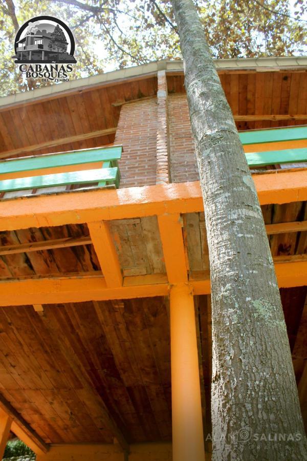 הואסקה דה אוקמפו Cabanas Los Bosques Del Zembo מראה חיצוני תמונה