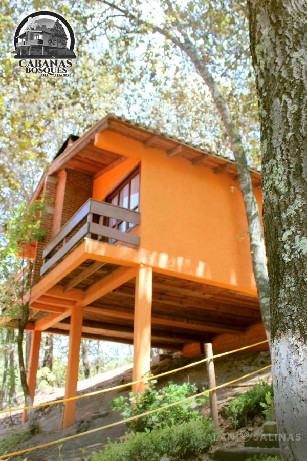 הואסקה דה אוקמפו Cabanas Los Bosques Del Zembo מראה חיצוני תמונה