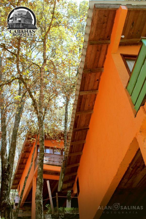 הואסקה דה אוקמפו Cabanas Los Bosques Del Zembo מראה חיצוני תמונה